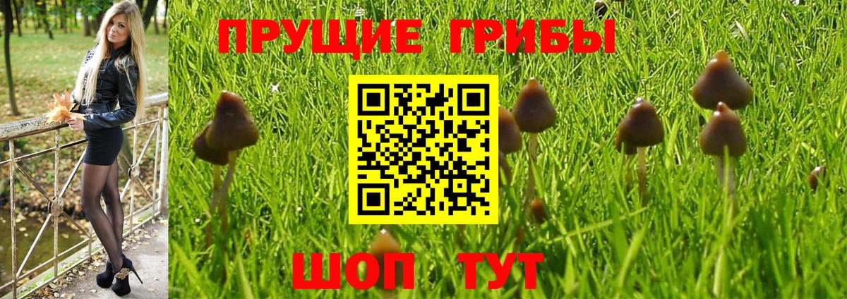 Галлюциногенные грибы Magic Shrooms Зерноград